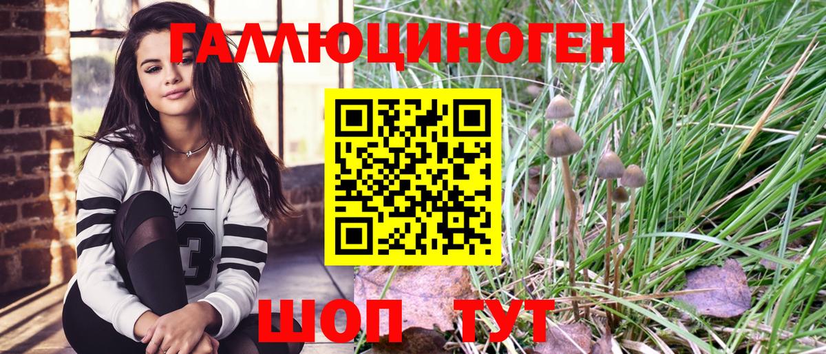 Галлюциногенные грибы Magic Shrooms  Вход с VPN  Кашира 